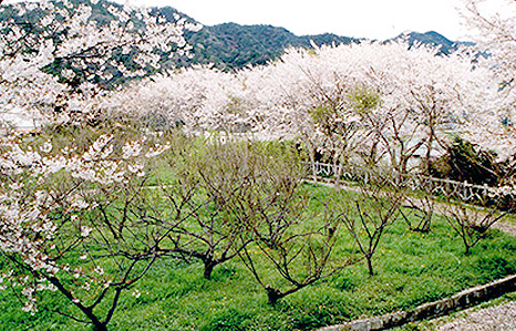 林田藩陣屋跡の写真