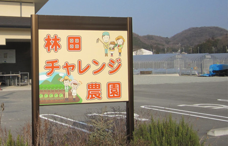 林田チャレンジ農園の看板の写真